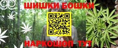 гашик Будённовск