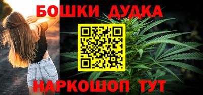 гашик Будённовск
