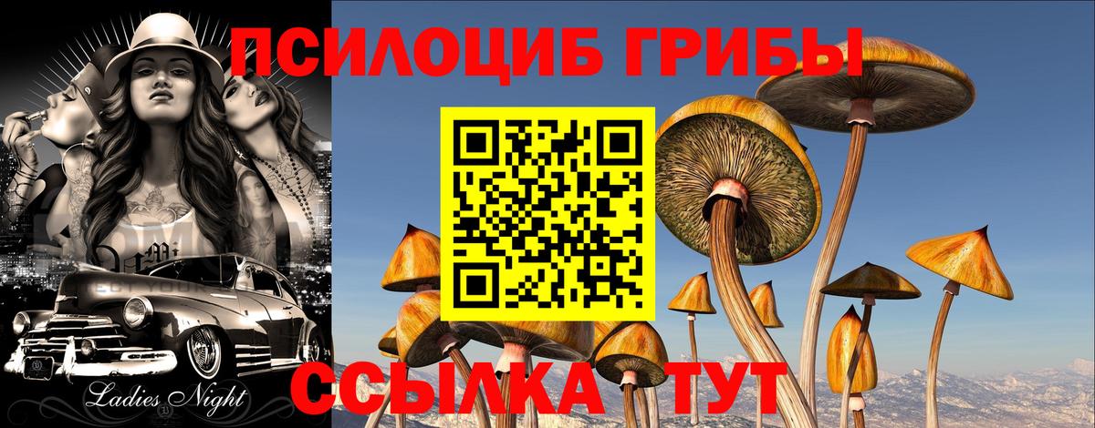 Галлюциногенные грибы Psilocybe  закладка  Кстово  Вход с VPN 